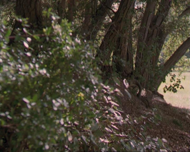 Charmed-Online_dot_net-3x04AllHalliwellsEve0502.jpg Charmed-Online_dot_net-3x04AllHalliwellsEve0502.jpg