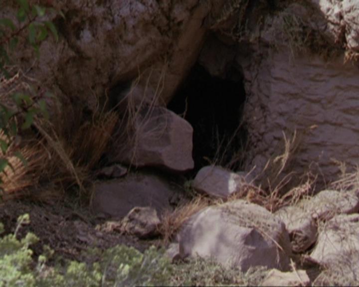 Charmed-Online_dot_net-3x04AllHalliwellsEve0960.jpg Charmed-Online_dot_net-3x04AllHalliwellsEve0960.jpg