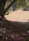 Charmed-Online_dot_net-3x04AllHalliwellsEve0394.jpg
