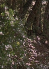 Charmed-Online_dot_net-3x04AllHalliwellsEve0501.jpg