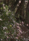 Charmed-Online_dot_net-3x04AllHalliwellsEve0503.jpg