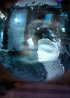 Charmed-Online_dot_net-3x04AllHalliwellsEve2230.jpg