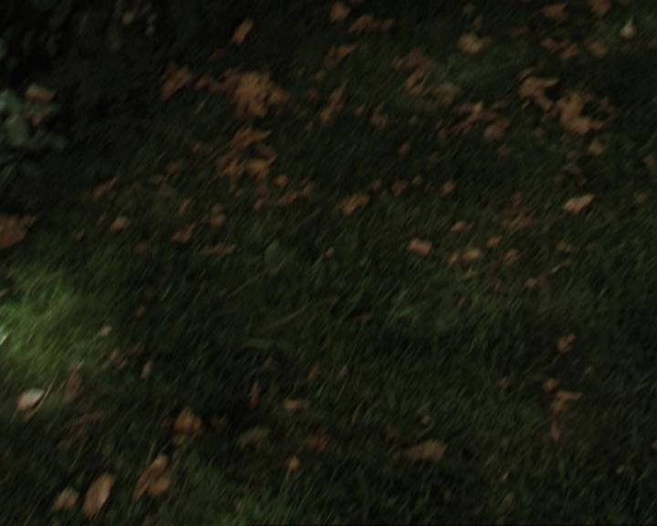 Charmed-Online-dot-311BlindedByTheWhitelighter1393.jpg