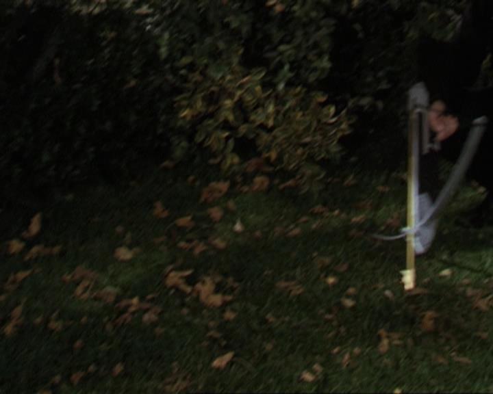 Charmed-Online-dot-311BlindedByTheWhitelighter1394.jpg