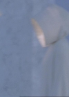 Bestandsnaam=Charmed-Online-dot-311BlindedByTheWhitelighter2079.jpg
Bestandsgrootte=20KiB
Afmetingen = 720x576
Datum toegevoegd = apr 06, 2014 Charmed-Online-dot-311BlindedByTheWhitelighter2079.jpg