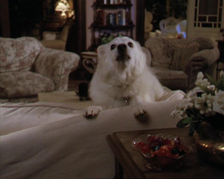 Charmed-Online-dot-312WrestlingWithDemons2090.jpg Charmed-Online-dot-312WrestlingWithDemons2090.jpg