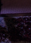 Charmed-Online-dot-313BrideAndGloom1917.jpg