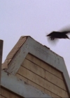 Bestandsnaam=Charmed-Online-dot-314TheGoodTheBadAndTheCursed0841.jpg
Bestandsgrootte=28KiB
Afmetingen = 720x576
Datum toegevoegd = apr 07, 2014 Charmed-Online-dot-314TheGoodTheBadAndTheCursed0841.jpg