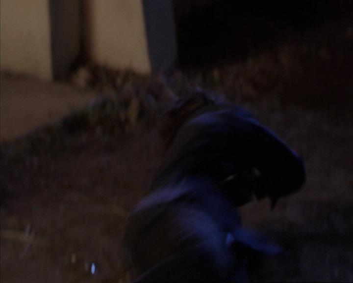 Charmed-Online-dot-315JustHarried0269.jpg Charmed-Online-dot-315JustHarried0269.jpg
