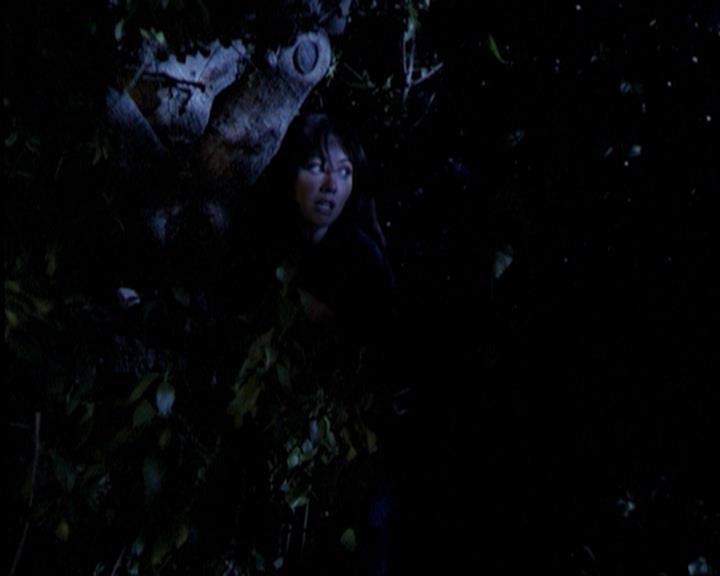 Charmed-Online-dot-315JustHarried1782.jpg