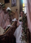Charmed-Online-dot-315JustHarried1287.jpg