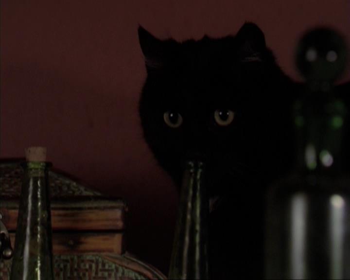 Charmed-Online-dot-317Pre-Witched0179.jpg