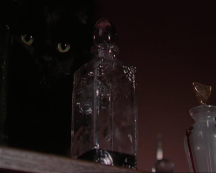 Charmed-Online-dot-317Pre-Witched0194.jpg