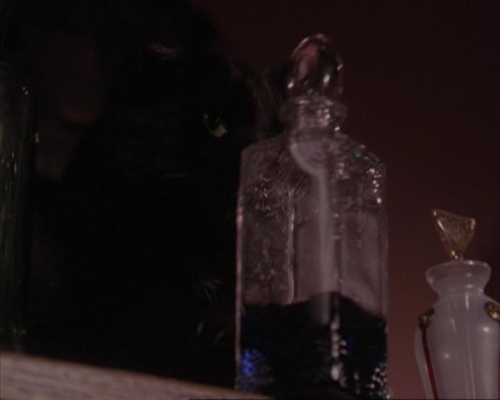 Charmed-Online-dot-317Pre-Witched0196.jpg