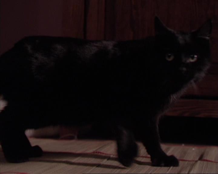 Charmed-Online-dot-317Pre-Witched0200.jpg