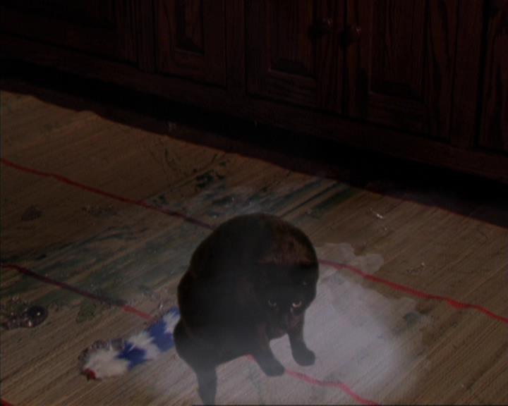 Charmed-Online-dot-317Pre-Witched0203.jpg