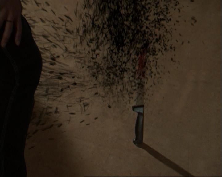 Charmed-Online-dot-317Pre-Witched1110.jpg Charmed-Online-dot-317Pre-Witched1110.jpg