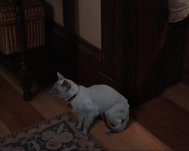 Charmed-Online-dot-317Pre-Witched1186.jpg Charmed-Online-dot-317Pre-Witched1186.jpg