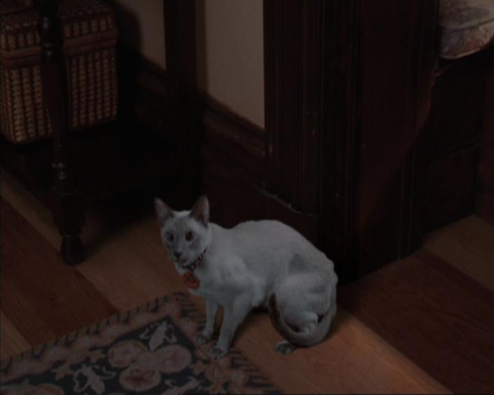 Charmed-Online-dot-317Pre-Witched1195.jpg Charmed-Online-dot-317Pre-Witched1195.jpg