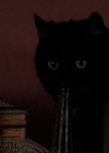 Charmed-Online-dot-317Pre-Witched0179.jpg