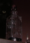 Charmed-Online-dot-317Pre-Witched0194.jpg
