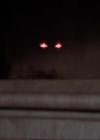 Charmed-Online-dot-319TheDemonWhoCameInFromTheCold1761.jpg