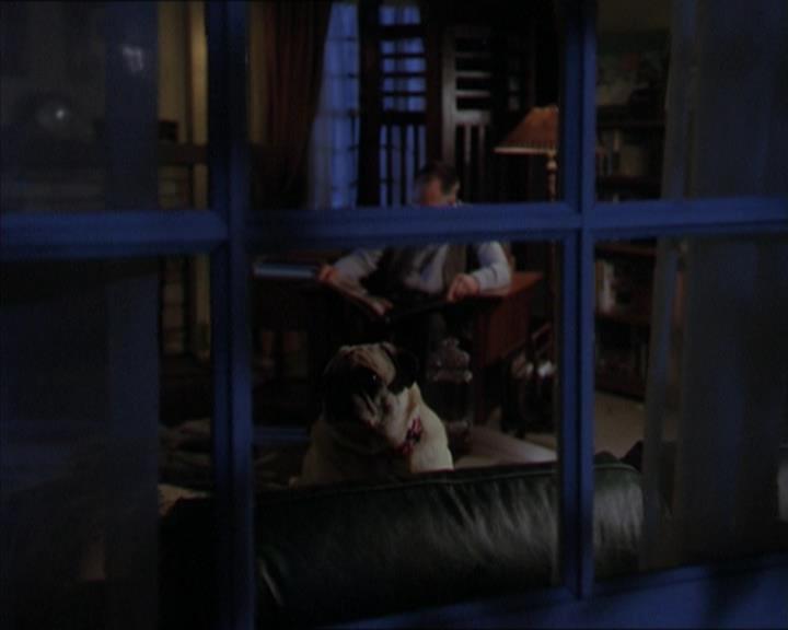 Charmed-Online-dot-320LookWhosBarking0168.jpg