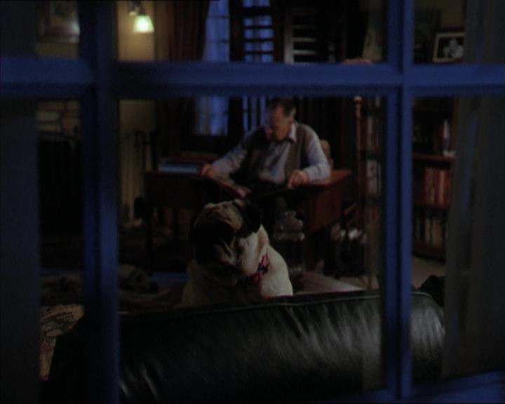 Charmed-Online-dot-320LookWhosBarking0169.jpg