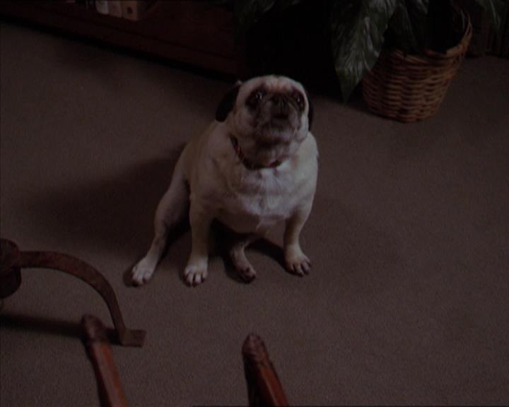 Charmed-Online-dot-320LookWhosBarking0181.jpg