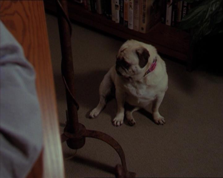 Charmed-Online-dot-320LookWhosBarking0184.jpg