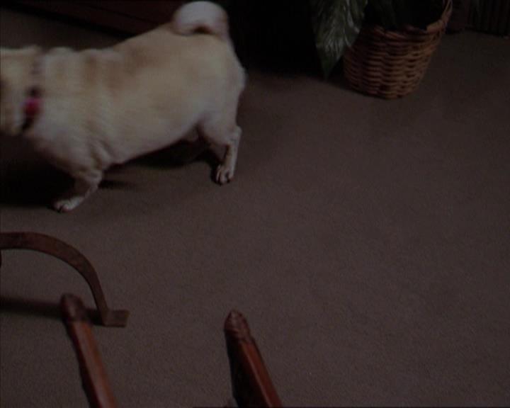 Charmed-Online-dot-320LookWhosBarking0194.jpg Charmed-Online-dot-320LookWhosBarking0194.jpg