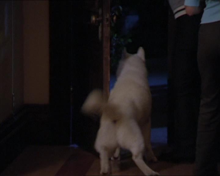 Charmed-Online-dot-320LookWhosBarking1077.jpg Charmed-Online-dot-320LookWhosBarking1077.jpg