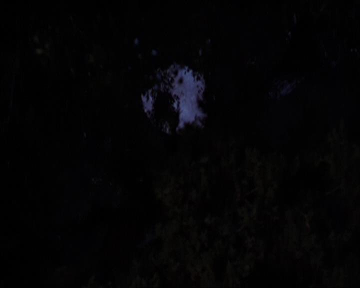 Charmed-Online-dot-320LookWhosBarking1083.jpg Charmed-Online-dot-320LookWhosBarking1083.jpg