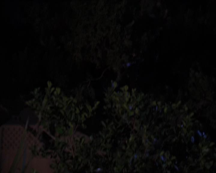 Charmed-Online-dot-320LookWhosBarking1085.jpg Charmed-Online-dot-320LookWhosBarking1085.jpg