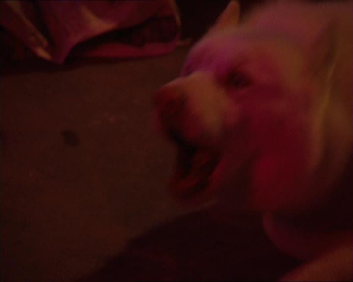 Charmed-Online-dot-320LookWhosBarking1163.jpg Charmed-Online-dot-320LookWhosBarking1163.jpg