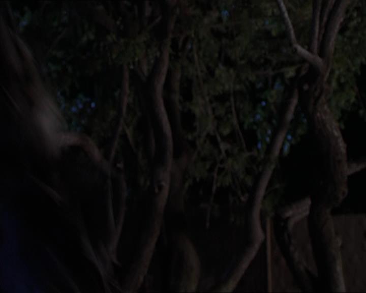 Charmed-Online-dot-320LookWhosBarking1207.jpg Charmed-Online-dot-320LookWhosBarking1207.jpg