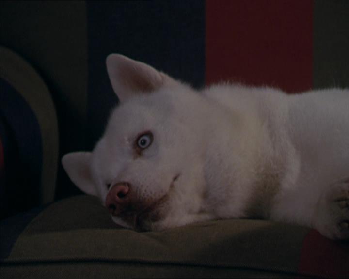 Charmed-Online-dot-320LookWhosBarking1594.jpg Charmed-Online-dot-320LookWhosBarking1594.jpg