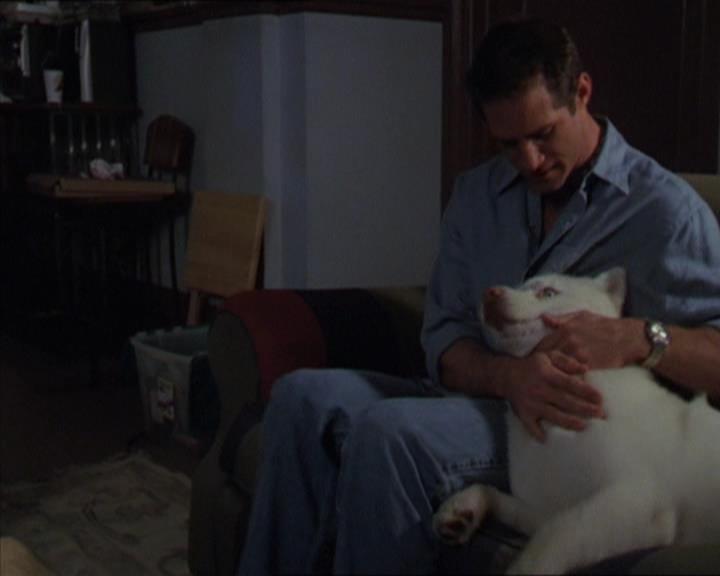 Charmed-Online-dot-320LookWhosBarking1610.jpg Charmed-Online-dot-320LookWhosBarking1610.jpg