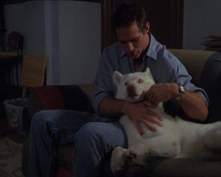 Charmed-Online-dot-320LookWhosBarking1612.jpg Charmed-Online-dot-320LookWhosBarking1612.jpg