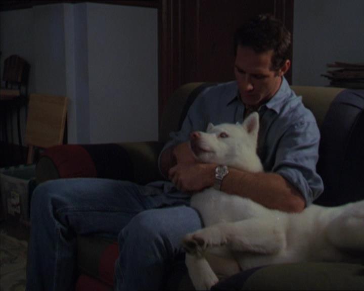 Charmed-Online-dot-320LookWhosBarking1613.jpg Charmed-Online-dot-320LookWhosBarking1613.jpg