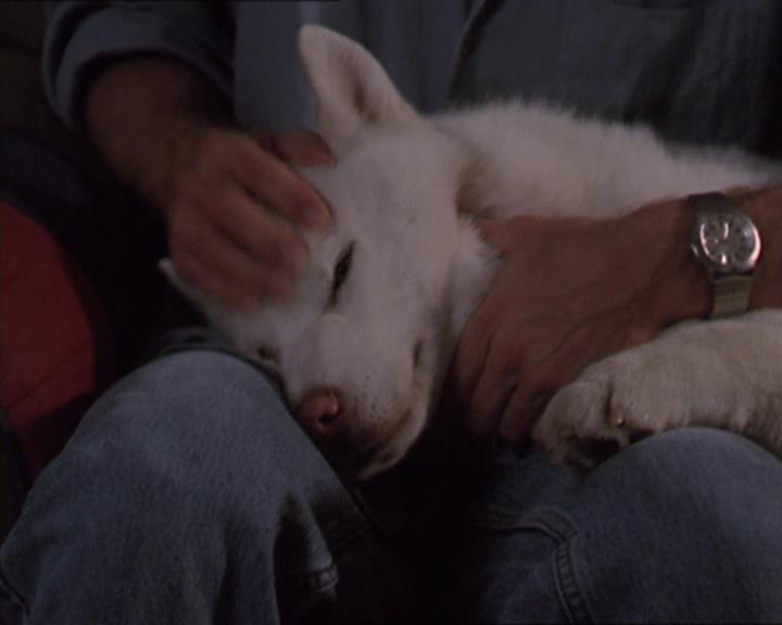 Charmed-Online-dot-320LookWhosBarking1619.jpg Charmed-Online-dot-320LookWhosBarking1619.jpg