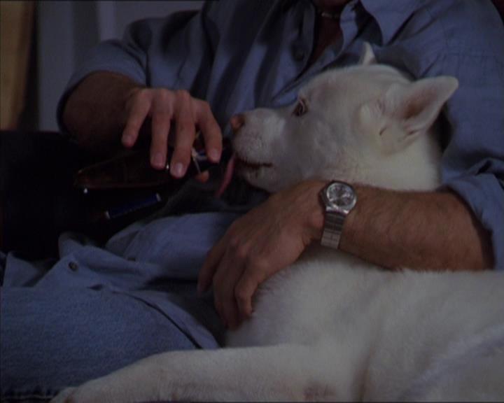 Charmed-Online-dot-320LookWhosBarking1671.jpg Charmed-Online-dot-320LookWhosBarking1671.jpg