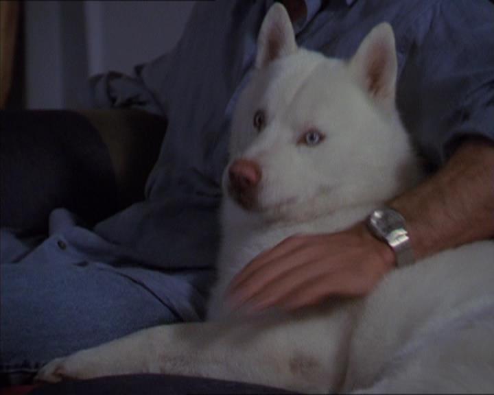 Charmed-Online-dot-320LookWhosBarking1674.jpg Charmed-Online-dot-320LookWhosBarking1674.jpg