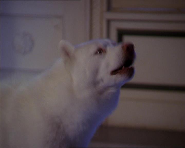 Charmed-Online-dot-320LookWhosBarking1875.jpg