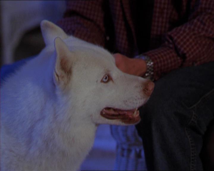 Charmed-Online-dot-320LookWhosBarking1932.jpg