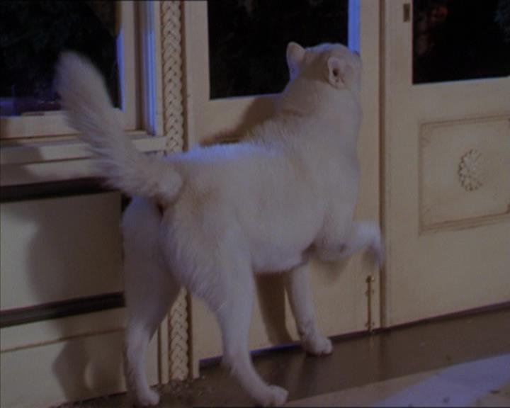 Charmed-Online-dot-320LookWhosBarking1935.jpg Charmed-Online-dot-320LookWhosBarking1935.jpg