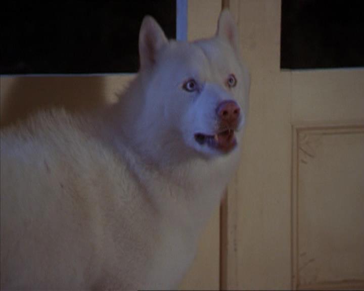 Charmed-Online-dot-320LookWhosBarking1936.jpg Charmed-Online-dot-320LookWhosBarking1936.jpg