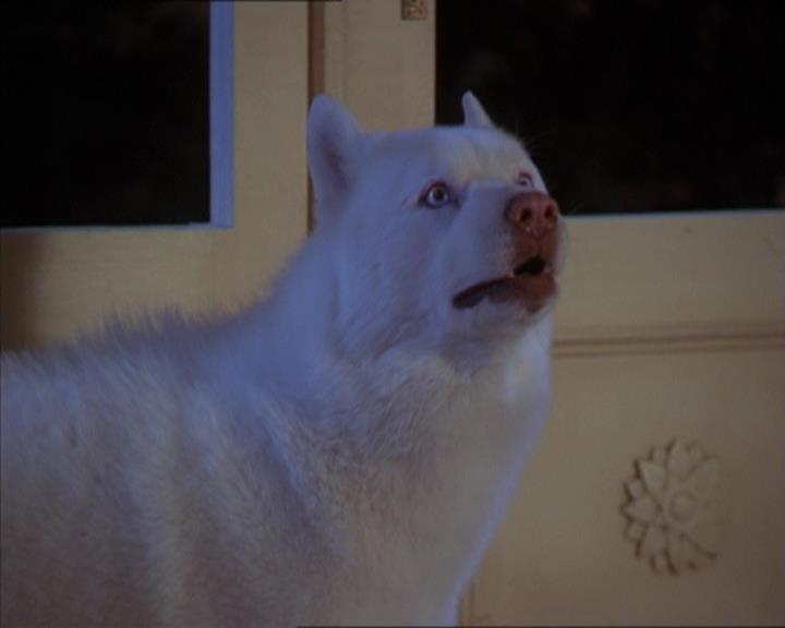 Charmed-Online-dot-320LookWhosBarking1942.jpg Charmed-Online-dot-320LookWhosBarking1942.jpg
