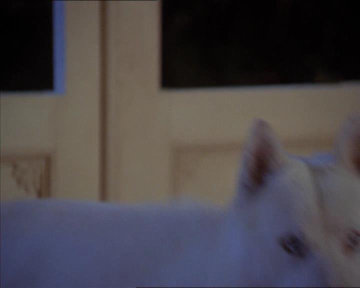 Charmed-Online-dot-320LookWhosBarking1947.jpg Charmed-Online-dot-320LookWhosBarking1947.jpg