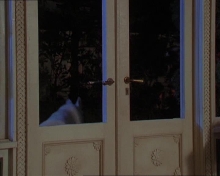 Charmed-Online-dot-320LookWhosBarking1954.jpg Charmed-Online-dot-320LookWhosBarking1954.jpg